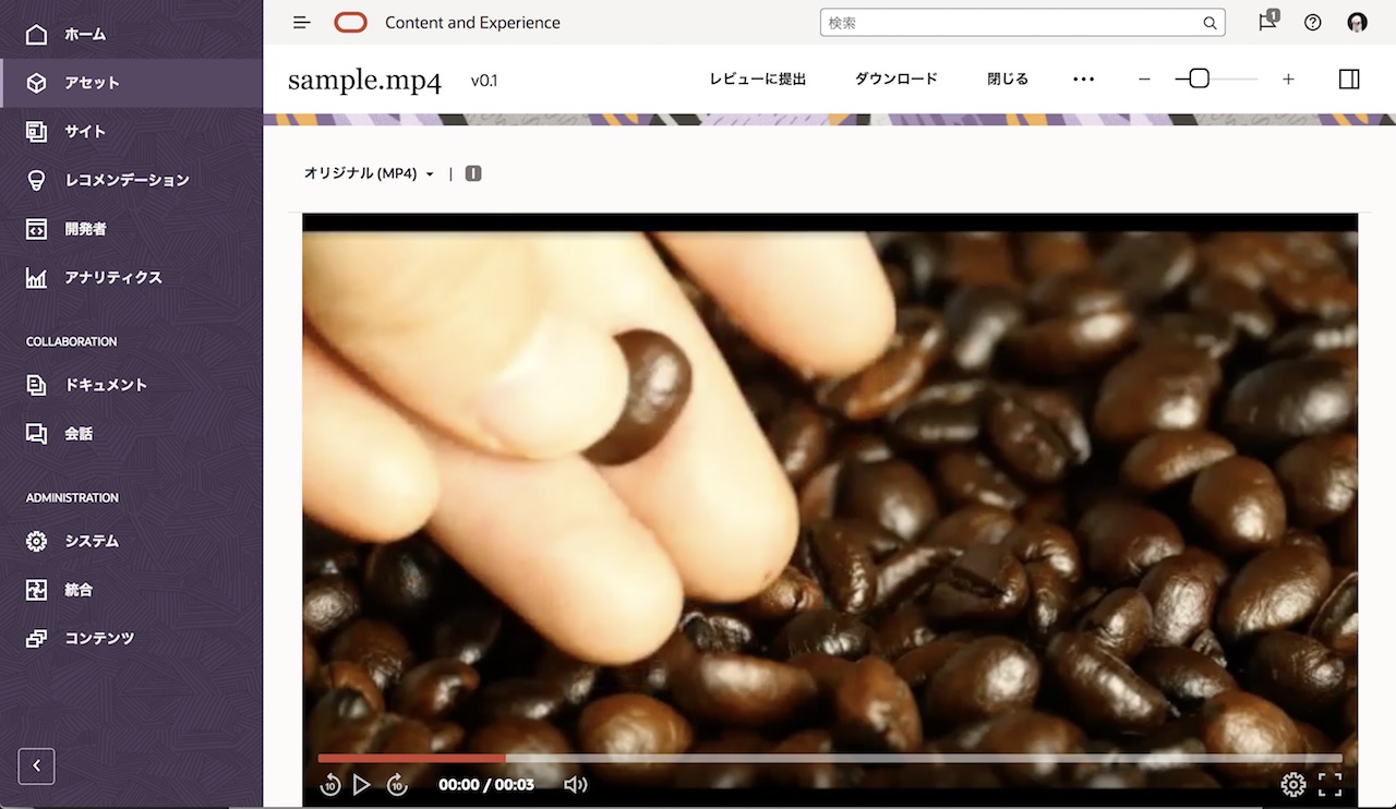 Video Plusアセットの表示
